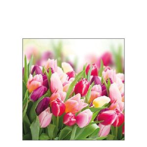 AMB.12512730 Glorious Tulips papírszalvéta 25x25cm,20db-os