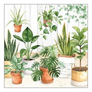 AMB.13313260 Urban Jungle papírszalvéta 33x33cm,20db-os