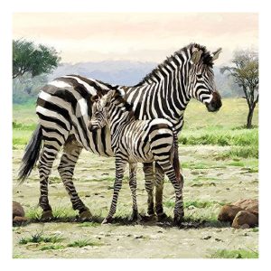 AMB.13314065 Zebras papírszalvéta 33x33cm,20db-os