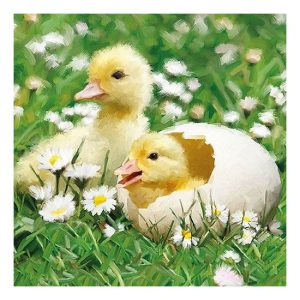 AMB.23314125 Newborn Chicks papírszalvéta 33x33cm,20db-os