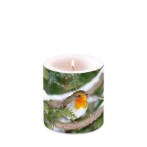 AMB.39214685 Robin In Tree átvilágítós gyertya 8x7,5cm