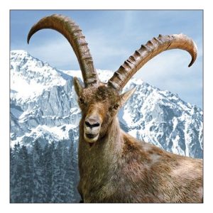 AMB.13314610 Capra Ibex papírszalvéta 33x33cm, 20db-os