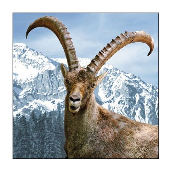 AMB.13314610 Capra Ibex papírszalvéta 33x33cm, 20db-os