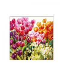 AMB.12514960 Tulips papírszalvéta 25x25cm, 20db-os
