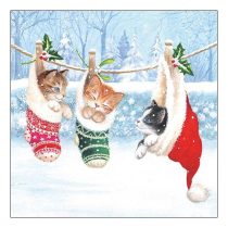   AMB.33314800 Kitten Winterland papírszalvéta 33x33cm, 20db-os