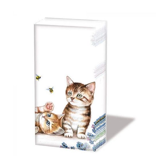 AMB.12212885 Cats And Bees papírzsebkendő, 10db-os