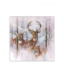   AMB.32515305 Wilderness Stag papírszalvéta 25x25cm, 20db-os