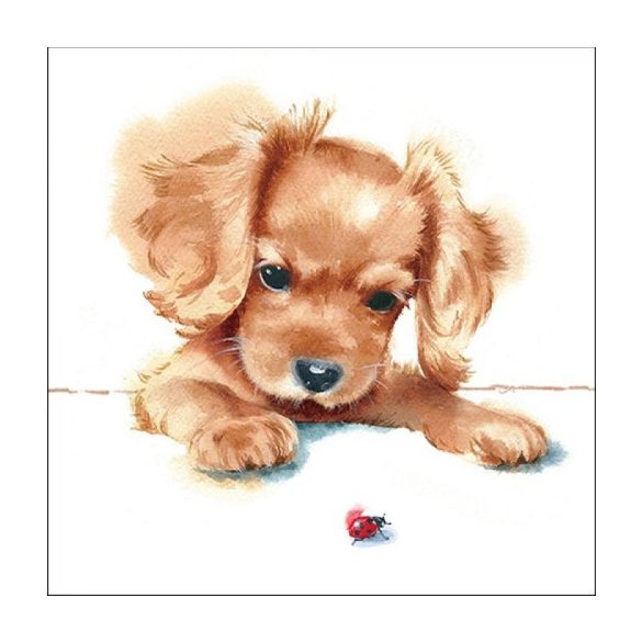 AMB.13316300 Puppy & Ladybird papírszalvéta 33x33cm,20db-os