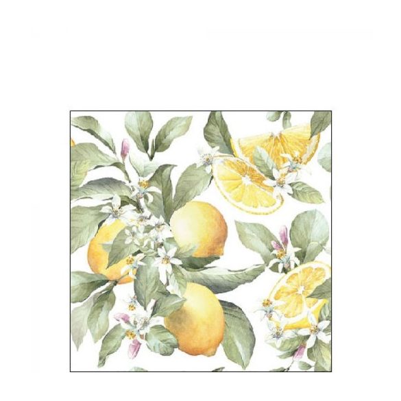 AMB.12516065 Limoni papírszalvéta 25x25cm,20db-os