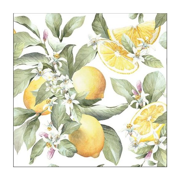 AMB.13316065 Limoni papírszalvéta 33x33cm,20db-os