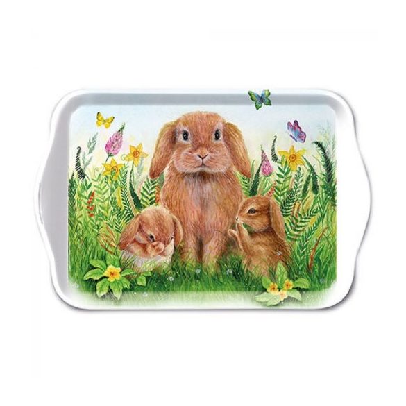 AMB.23715945 Rabbit Family műanyag kistálca 13x21cm