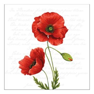 AMB.13316120 Proud Poppy papírszalvéta 33x33cm, 20db-os