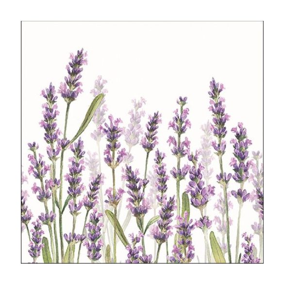 AMB.13315985 Lavender Shade White papírszalvéta 33x33cm,20db-os