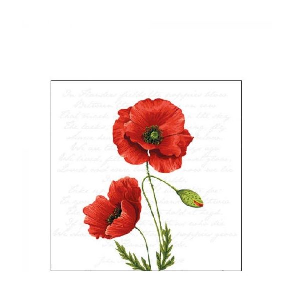 AMB.12516120 Proud Poppy papírszalvéta 25x25cm, 20db-os