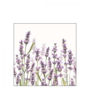 AMB.12515985 Lavender Shades white papírszalvéta 25x25cm,20db-os