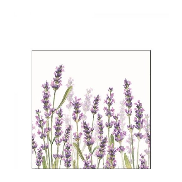 AMB.12515985 Lavender Shades white papírszalvéta 25x25cm,20db-os