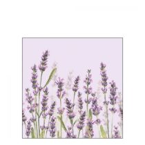   AMB.12515986 Lavender Shades lila papírszalvéta 25x25cm,20db-os