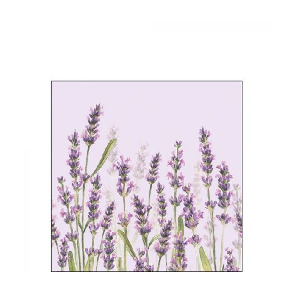 AMB.12515986 Lavender Shades lila papírszalvéta 25x25cm,20db-os