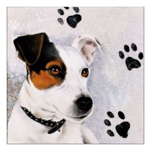 AMB.13315160 Jack Russel papírszalvéta 33x33cm,20db-os