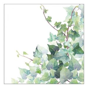 AMB.13317025 Hedera White papírszalvéta 33x33cm, 20db-os