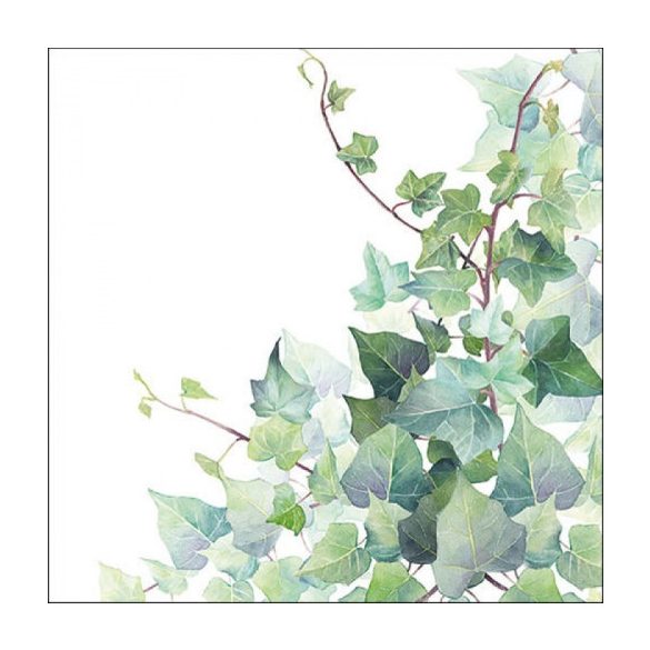 AMB.13317025 Hedera White papírszalvéta 33x33cm, 20db-os