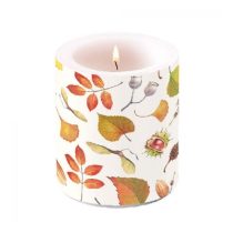 AMB.19316840 Autumn Details átvilágítós gyertya 10x10cm