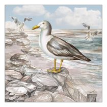   AMB.13317415 Seagull On The Shore papírszalvéta 33x33cm, 20db-os