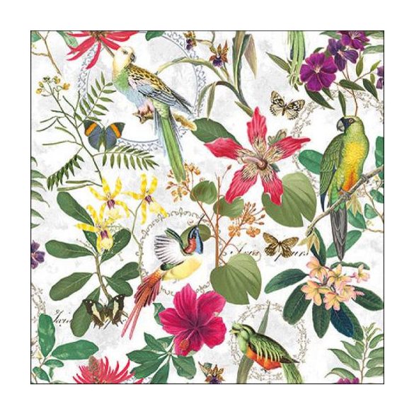 AMB.13317220 Tropical Jungle papírszalvéta 33x33cm, 20db-os