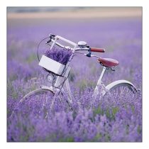   AMB.13317485 Bike In Lavender Field papírszalvéta 33x33cm, 20db-os