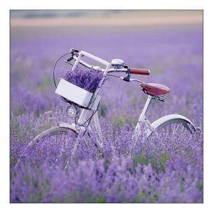 AMB.13317485 Bike In Lavender Field papírszalvéta 33x33cm, 20db-os