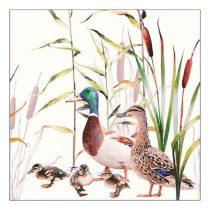 AMB.13317490 Ducks Couple papírszalvéta 33x33cm, 20db-os