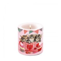   AMB.19217535 Cats in Tea Cups átvilágítós gyertya 8x7,5cm