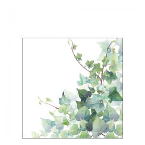 AMB.12517025 Hedera White papírszalvéta 25x25cm,20db-os