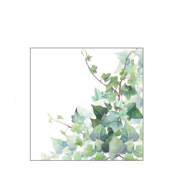 AMB.12517025 Hedera White papírszalvéta 25x25cm,20db-os