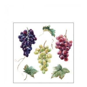 AMB.12517240 Wine grapes papírszalvéta 25x25cm,20db-os