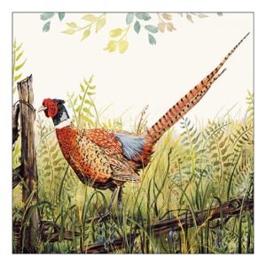 AMB.13317515 Glorious pheasant papírszalvéta 33x33cm, 20db-os