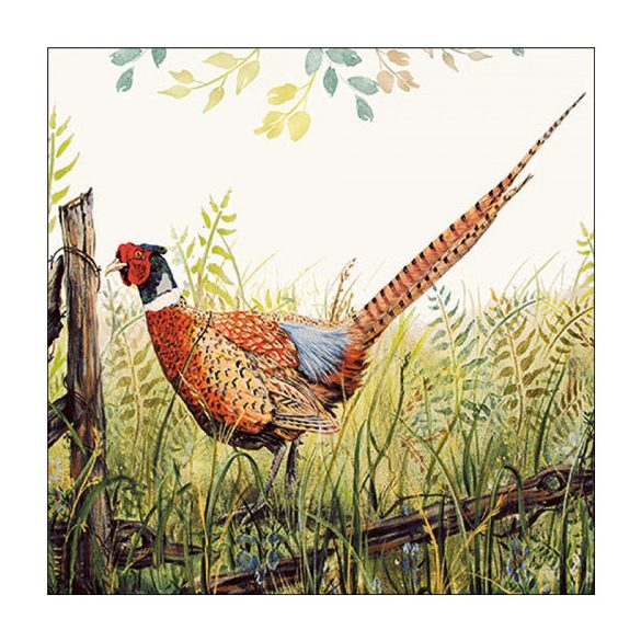 AMB.13317515 Glorious pheasant papírszalvéta 33x33cm, 20db-os