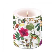 AMB.19317220 Tropical Jungle átvilágítós gyertya 10x10cm