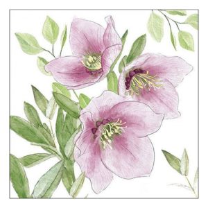 AMB.33318015 Classic helleborus papírszalvéta 33x33cm, 20db-os