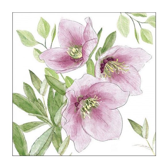 AMB.33318015 Classic helleborus papírszalvéta 33x33cm, 20db-os