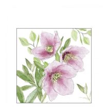   AMB.32518015 Classic helleborus papírszalvéta 25x25cm, 20db-os