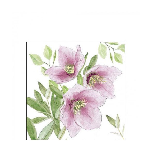 AMB.32518015 Classic helleborus papírszalvéta 25x25cm, 20db-os