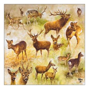AMB.13317770 Collage of deers papírszalvéta 33x33cm, 20db-os