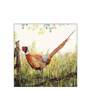 AMB.12517515 Glorious pheasant papírszalvéta 25x25cm, 20db-os