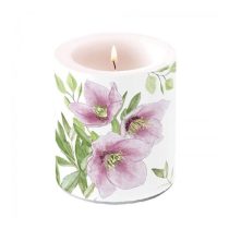   AMB.39318015 Classic helleborus átvilágítós gyertya 10x10cm