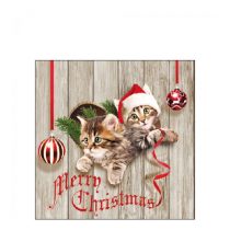   AMB.32516580 Curious Kittens papírszalvéta 25x25cm, 20db-os