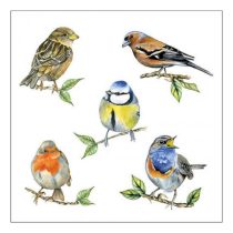   AMB.13318135 Bird species white papírszalvéta 33x33cm, 20db-os