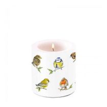   AMB.19218135 Bird species white átvilágítós gyertya 8x7,5cm 