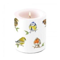   AMB.19318135 Bird species white átvilágítós gyertya 10x10cm