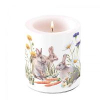 AMB.29318250 Carrot treat átvilágítós gyertya 10x10cm